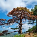 아구산 티스토리