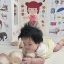 단계로 | [로하스밀] 7개월 아기 시판이유식 후기이유식으로 단계 높이기