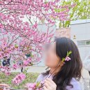 반월공원 화장실 이미지