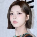 배이
