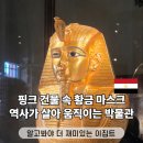 말박물관 | 이집트 카이로 자유 여행 무휘 가이드 한국말 투어 박물관 입장료 입장시간 꿀팁 내돈내산 후기