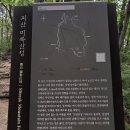 소나무농장 | 낙영산 등산 후기 충북 괴산 등산 코스 추천 기암괴석 멋진 소나무