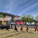 해동검도(4월_화요반) | 📍 2026 진천 농다리축제 전통무예공연 – 환희무예단 공연 후기