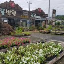 식물병원초록에서