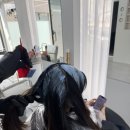 블루와이디