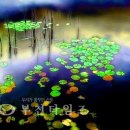 두레모텔 이미지