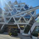 제이엠베스트 | [서울 신사동] 제이엠커피 신사라운지 / 가로수길 대형 베이커리 카페 후기