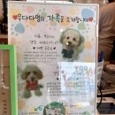 우다다애견 이미지