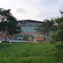 서해바다 | 서천 서울연수원 후기: 서해 바다 노을 맛집! 🌅
