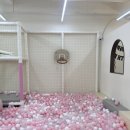 떼굴떼굴 | 청주 산남동 떼굴떼굴실내놀이터 무인키즈카페 후기