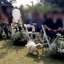 굿모닝빨래방 | 10월 유럽과 그 이후_