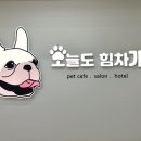 오늘도 힘차개 이미지