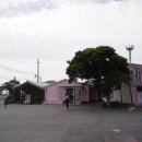 NR-3[평화로]-상-930 | 여운남는 제주도 1박2일 짧고 굵은 나들이 후기