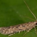 늘푸른산부인과의원 이미지