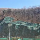 세천 체육공원 이미지