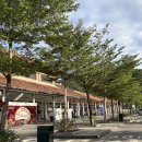 드림성인오락실 | 다나여행, 아이랑 바나힐 방문후기(내돈내산 feat. 대가족)