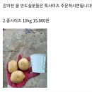 설봉농장 | 포슬포슬의 절대 강자 설봉 감자 먹고 난 후기!