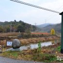 푸른솔염색 이미지