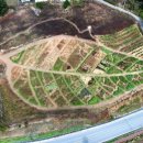 김지현농장 이미지