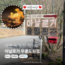 무릉도원면-10 | 자연 속 힐링 제대로! 영월 여행 중 가볼만한 아날로거 무릉도원점 글램핑 후기