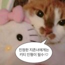 뽀짝케이크