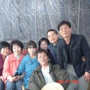 분두골 Daum카페