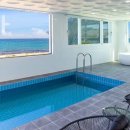 미아니아 이미지