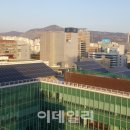 신정태양광발전소 이미지