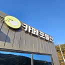 카페포물선