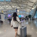 안산세관 | 호주패키지여행 시드니 1일차 : 입국심사 및 세관신고 후기 팁