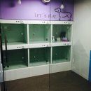 포일동물병원 이미지