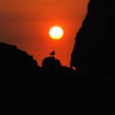 약수공원(독도박물관) 이미지