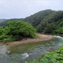 임기역 아래 이미지