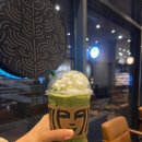 스타벅스 묵동점 | 스타벅스 생일쿠폰 녹차프라푸치노 커스텀 추천 묵동점 후기