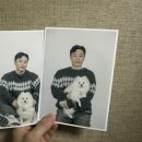 (화곡동 사진관) 오호라 사진관 반려동물 동반 촬영 후기