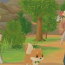 섬마을목장 이미지