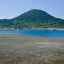 하도 해변 이미지