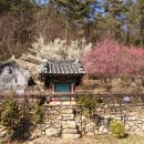 매향(梅香)