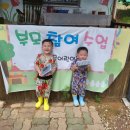 요들팜 이미지