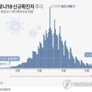 코로나19 신규확진자 추이 이미지