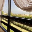 신안아구찜 이미지