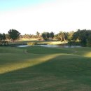 크리스탈 골프클럽 이미지