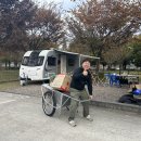 구미캠핑장 이미지