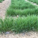 읍내9리 마을회관 이미지