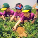 만석군농장 이미지