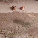 순천-14호 이미지