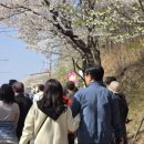 여주-0430 네이버블로그