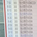 동산비사벌 이미지