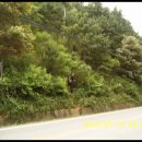 양정주유소 이미지