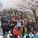 금산-15 이미지